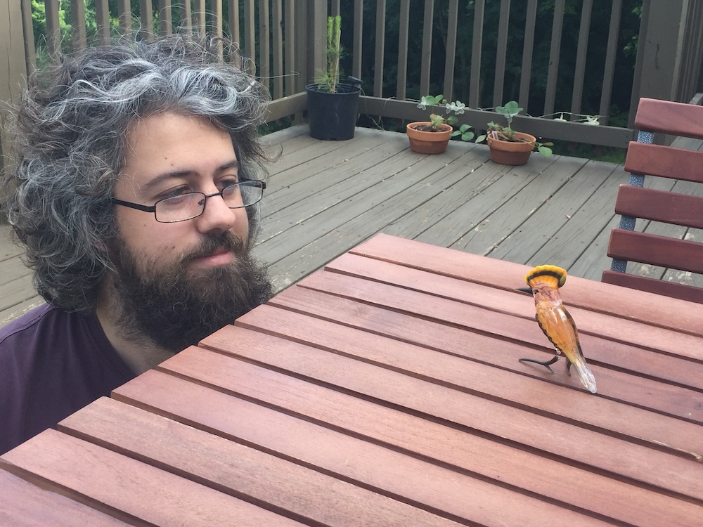 matt-and-the-hoopoe.jpg